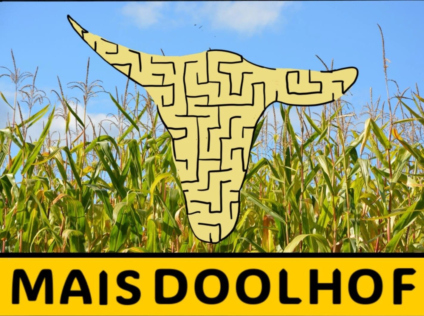 Maïsdoolhof Nieuw-Lickebaert