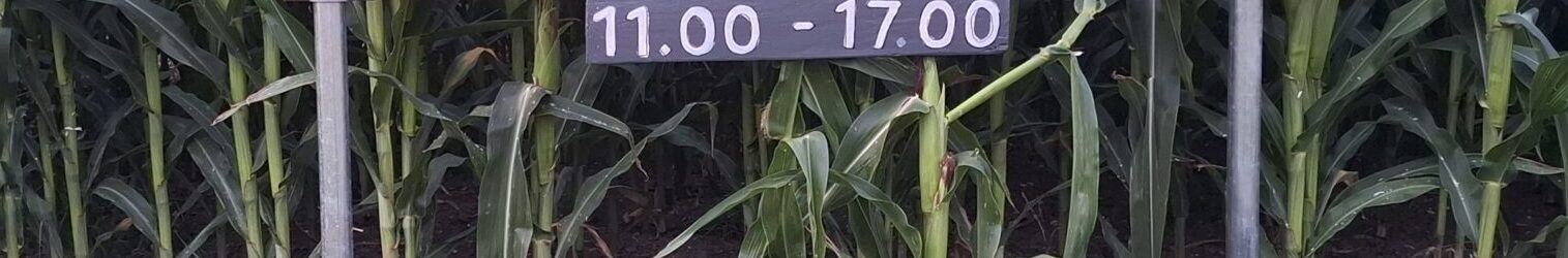 Woensdag 13 augustus 2025