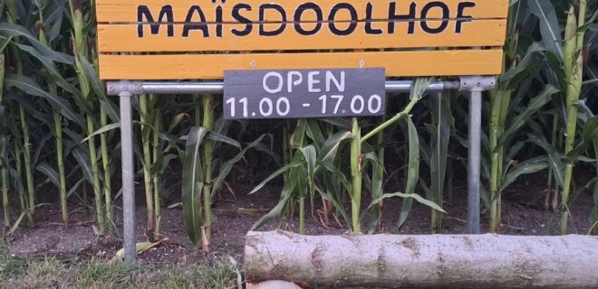 Woensdag 13 augustus 2025